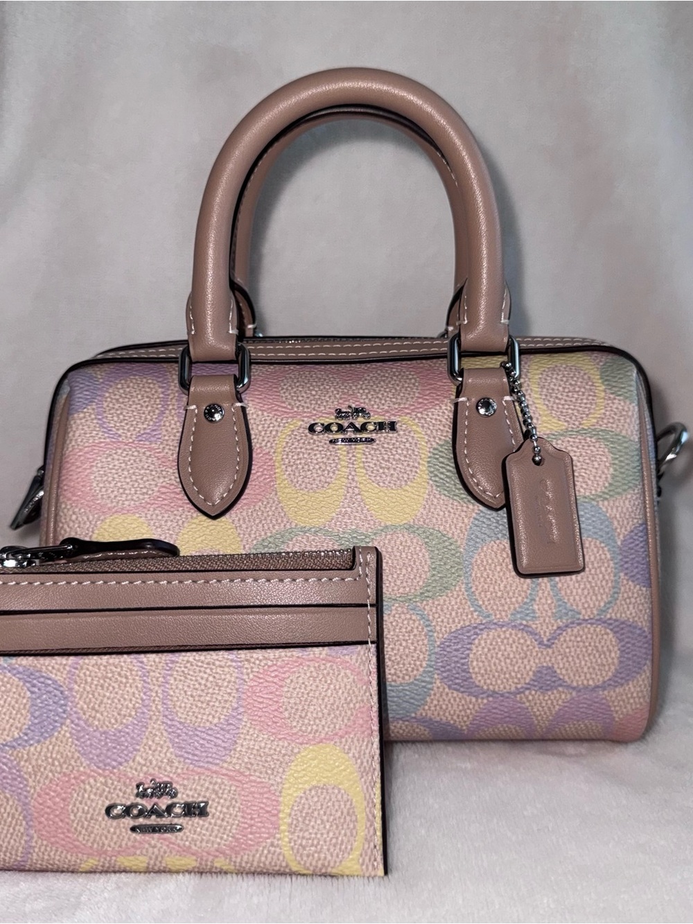 Coach Mini Rowan & Mini Skinny Card Case